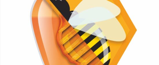 Feria apícola internacional