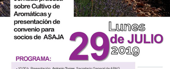 Jornada práctica cultivo aromáticas